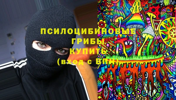 тгк Сатка