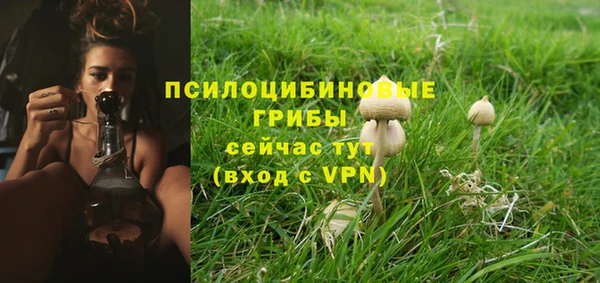 твердый Аркадак