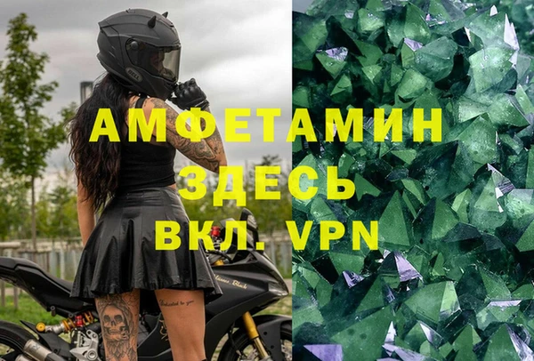 твердый Аркадак