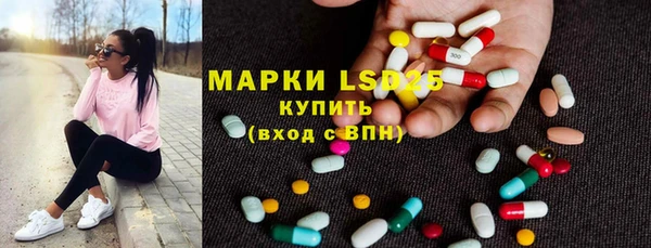 твердый Арсеньев