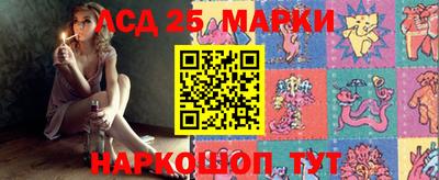 мдпв Жуковский