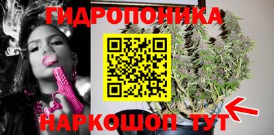 мдпв Жуковский