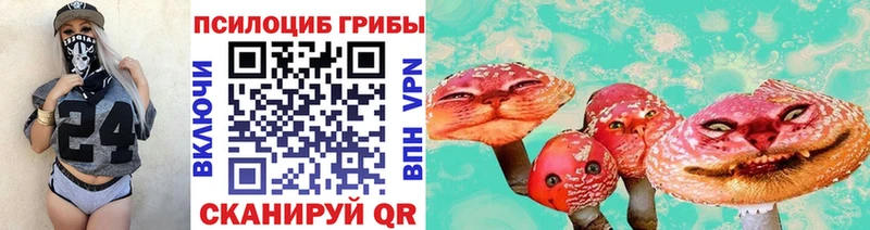 Псилоцибиновые грибы Magic Shrooms  где купить   гидра вход  Менделеевск 