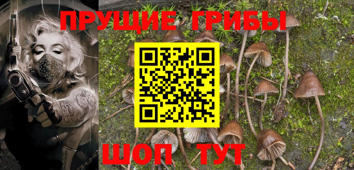 Псилоцибиновые грибы Magic Shrooms Менделеевск