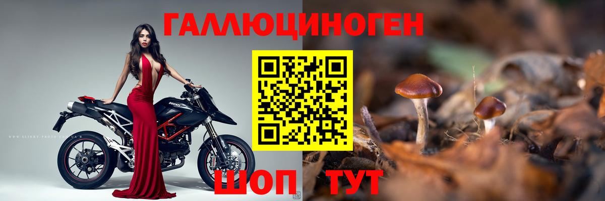 Галлюциногенные грибы Psilocybine cubensis  Вход с VPN  Псилоцибиновые грибы Psilocybe  Менделеевск 